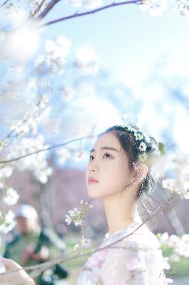 仙台有树电视剧免费观看全集高清完整版