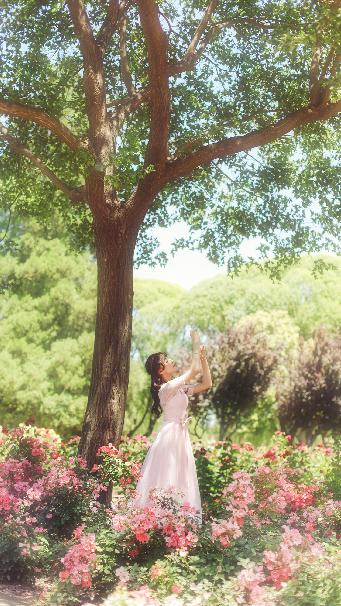 天才基本法电视剧免费观看